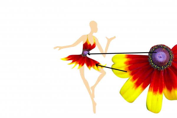 Creation of Dancer in the Dark: Step 3